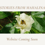 STORIES FROM MAHALINA