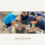 K1M0 - COTTON PLANTING AND MONITORING