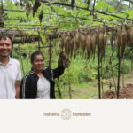 CBE - DEMO FARM