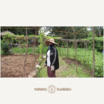 CBE - DEMO FARM