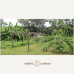 MF FARM LAB
