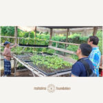 CTA / FARM PHILFIDA