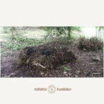 FARM - COMPOST