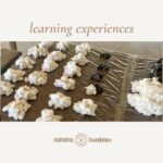 K1M0 COTTON PLANTING AND MONITORING